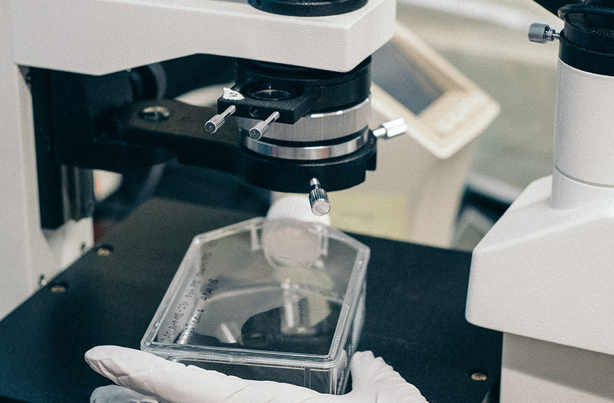 Potential of exogenous cartilage proteoglycan as a new material for cartilage regeneration